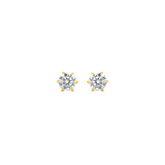 22K Gold Timeless Sparkle Stud Earrings